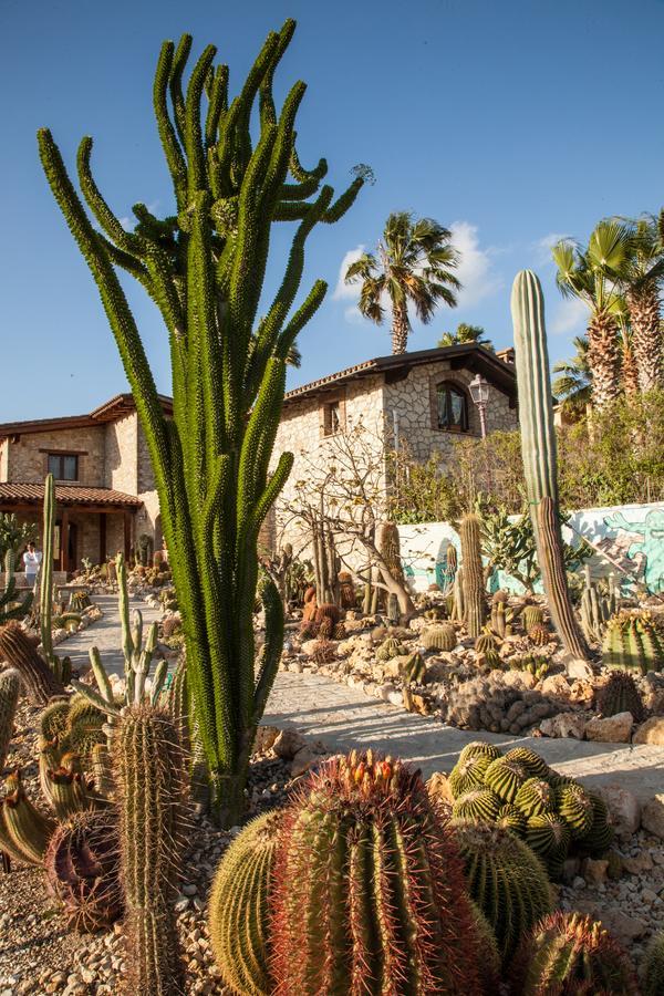 בית הארחה Villaggio Mosè 	Garden Cactus מראה חיצוני תמונה